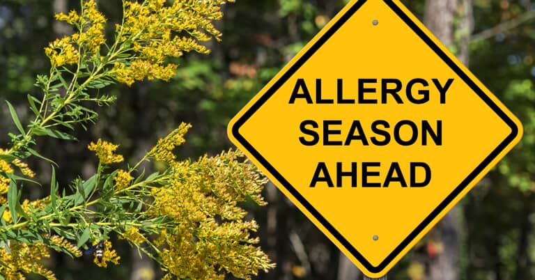 How To Treat And Reduce Spring Allergies