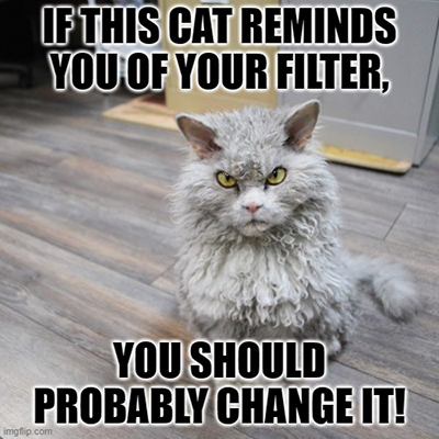 Image: Cat Meme About Air Filters.