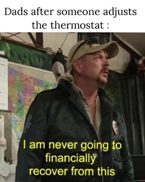 Thermostat Meme