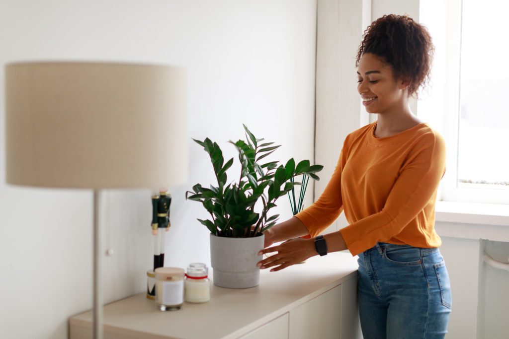 Woman Placing Her Plant Near A Lamp