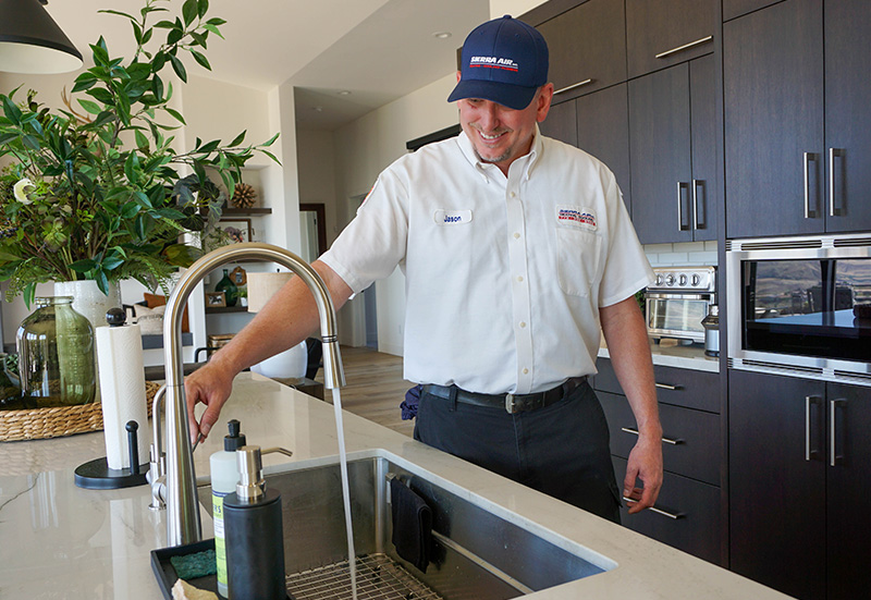 Technician With Kitchen Sink